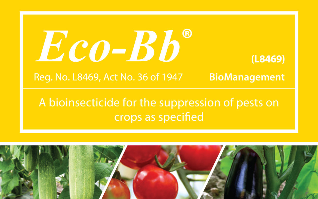 6 reasons WHY Eco-Bb® should be included in an IPM spray program