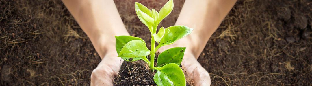 Human Health Starts With Soil Health