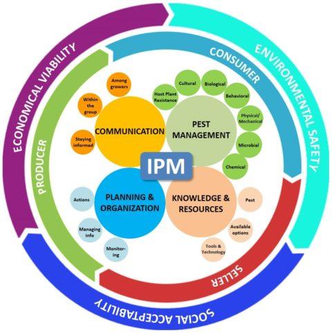 Adding value to IPM with biologicals - Andermatt