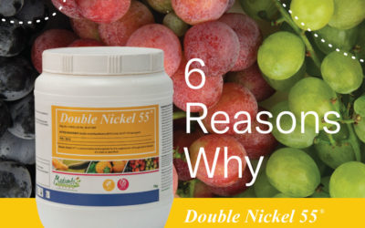 6 Reasons why you should be using Double Nickel 55®