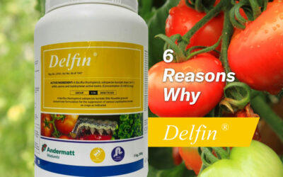 6 Reasons Why – Delfin®
