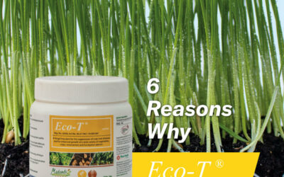 6 reasons why – Eco T®