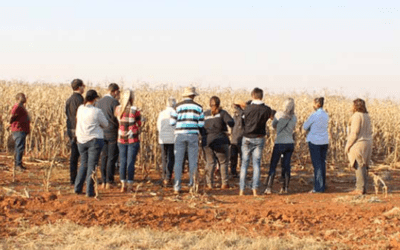 Biological crop protection a vital tool for export crops – Lindi Botha : Agripen June 2022