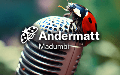 Andermatt Madumbi Podcast Studio