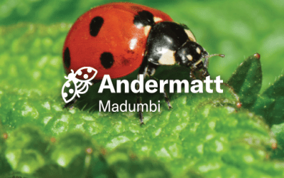 Andermatt Madumbi – Inhouse Biostimulant Production