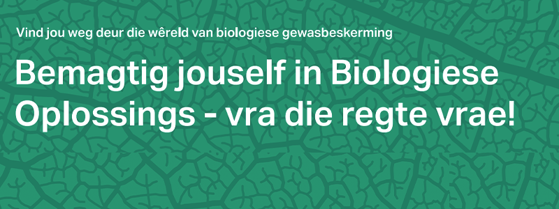Empower-Yourself-Afrikaans